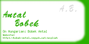 antal bobek business card